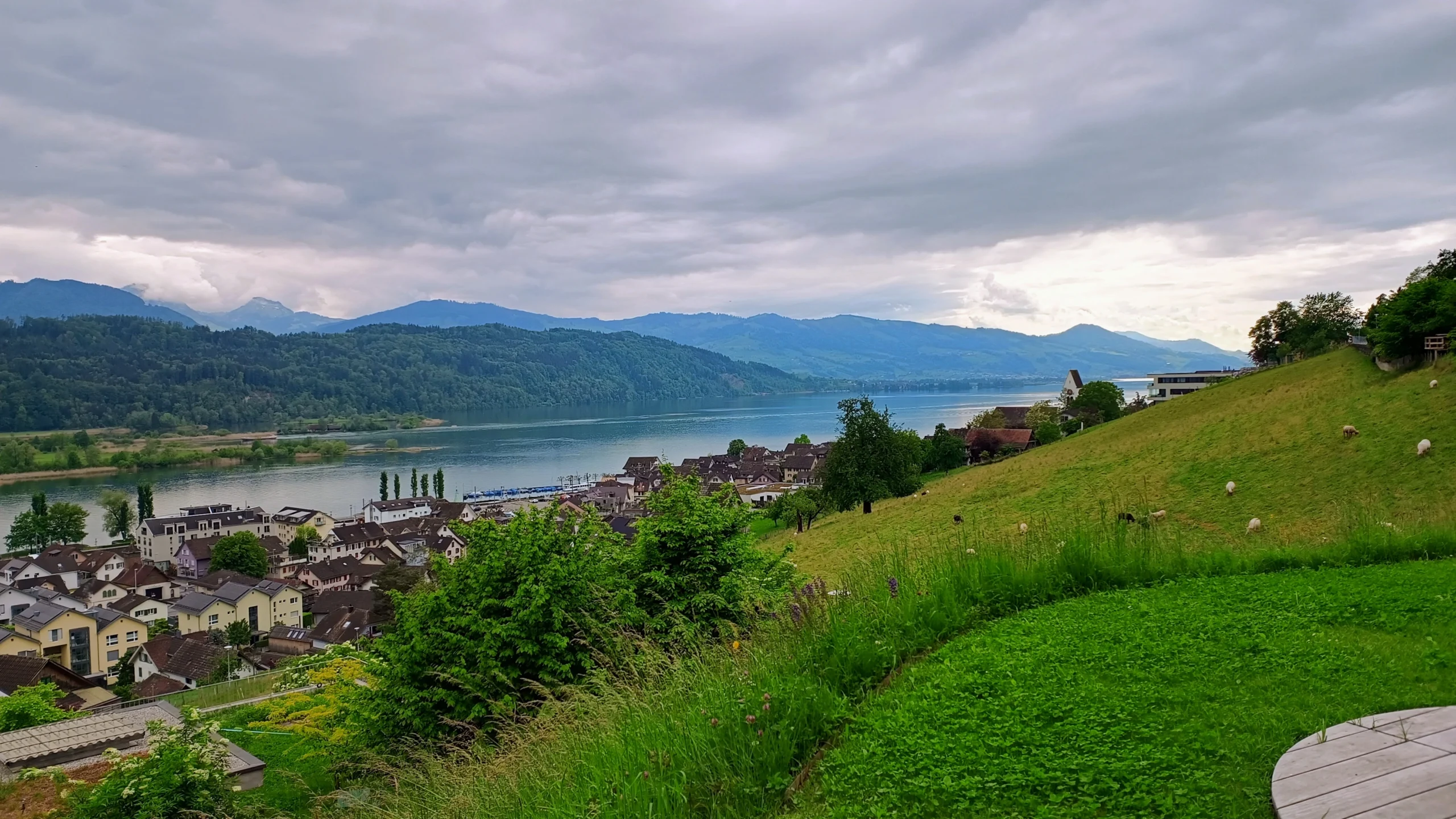 Aussicht auf den Zürichsee