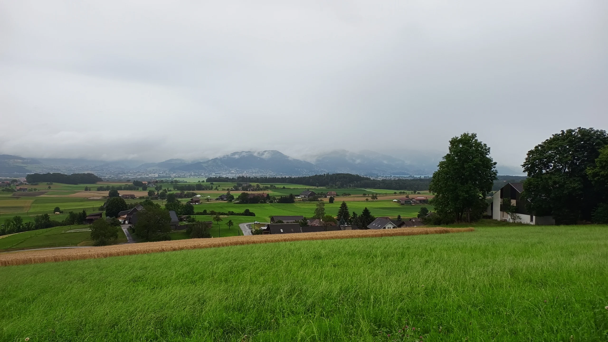 Sicht auf Wiesen und Bauernhöfe