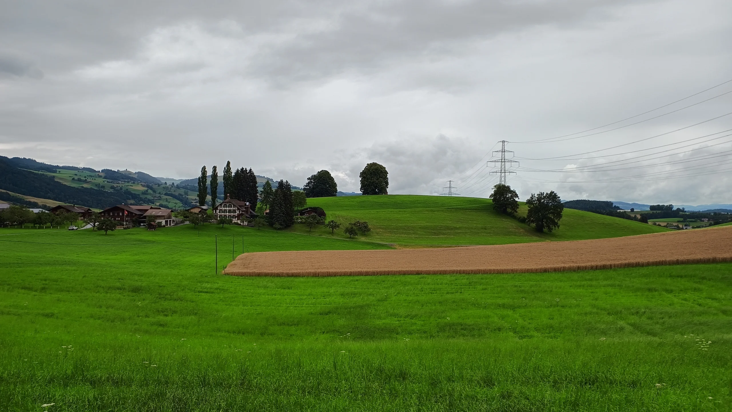 Sicht auf Wiesen und Bauernhöfe