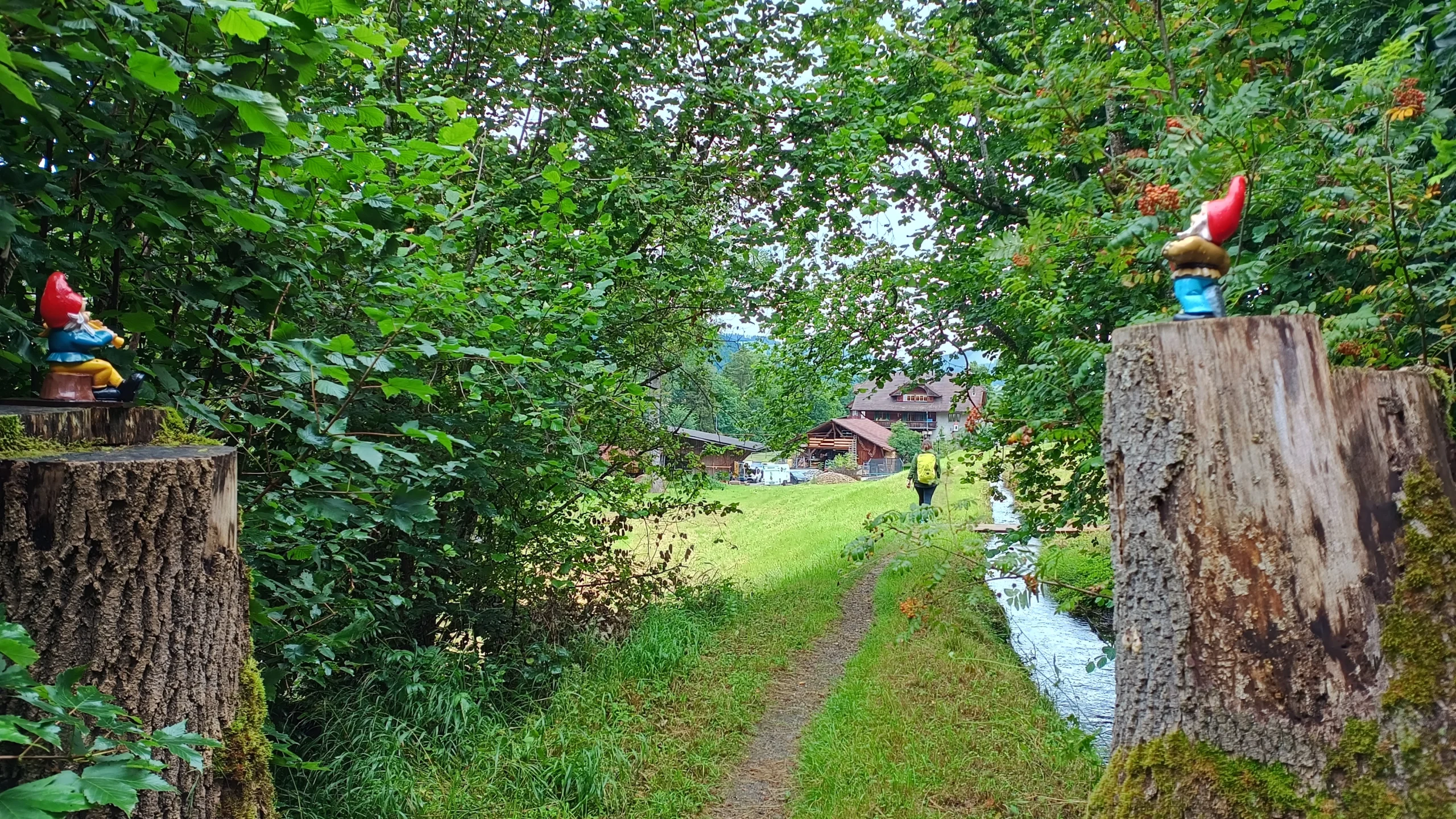 Gartenzwerge auf Baumstämmen