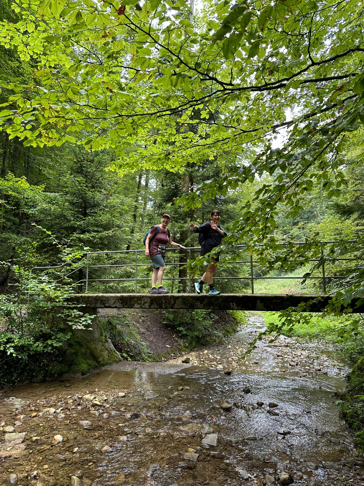 Brücke über einen Bach