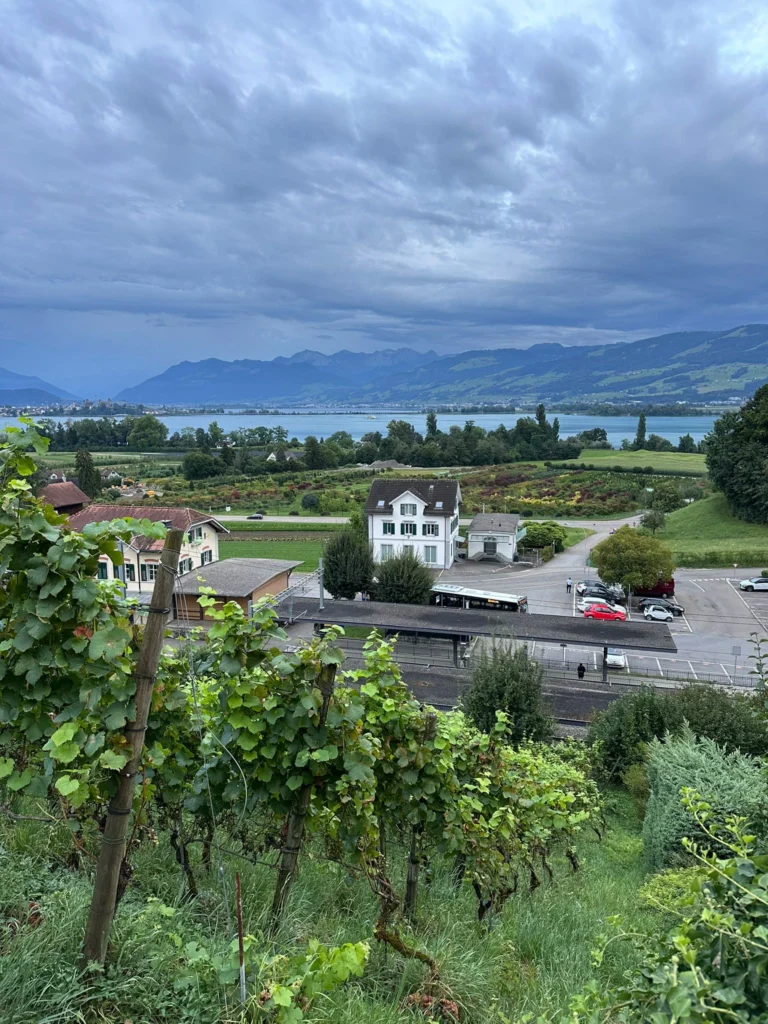 Dunkle Wolken über dem Zürichsee