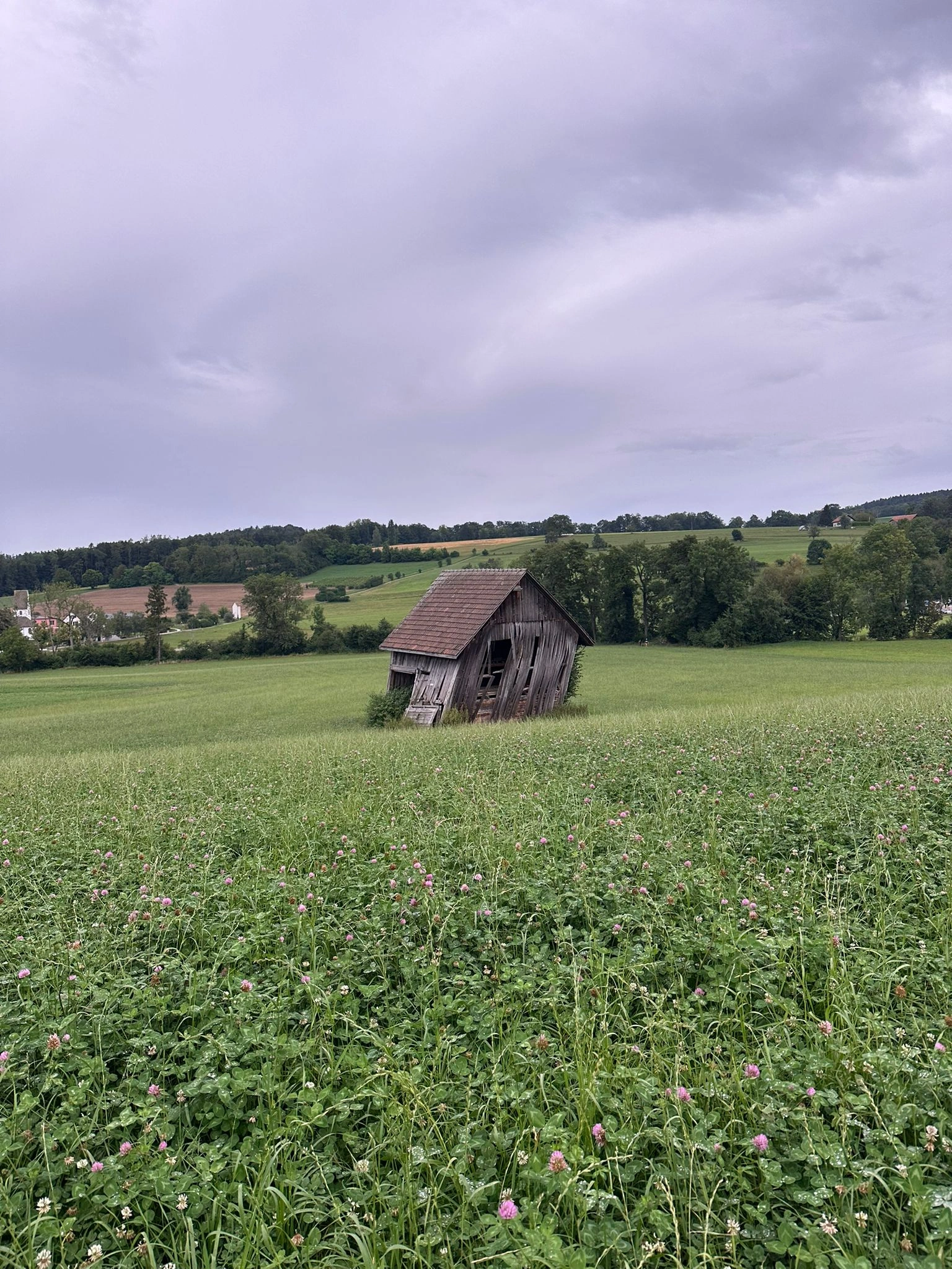 Eine schiefe Scheune auf einer Wiese