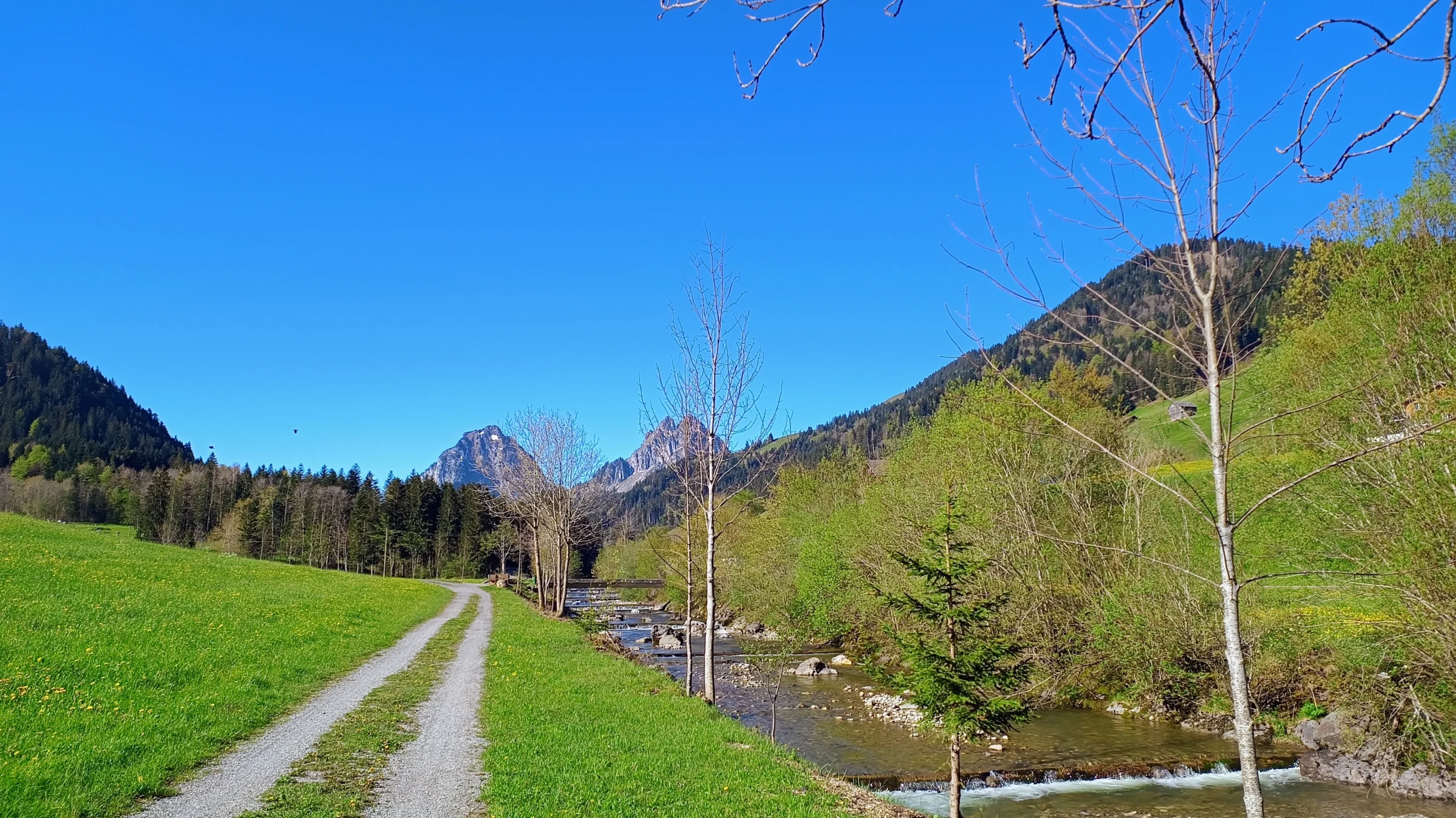 Kiesweg entlang dem Fluss Alp