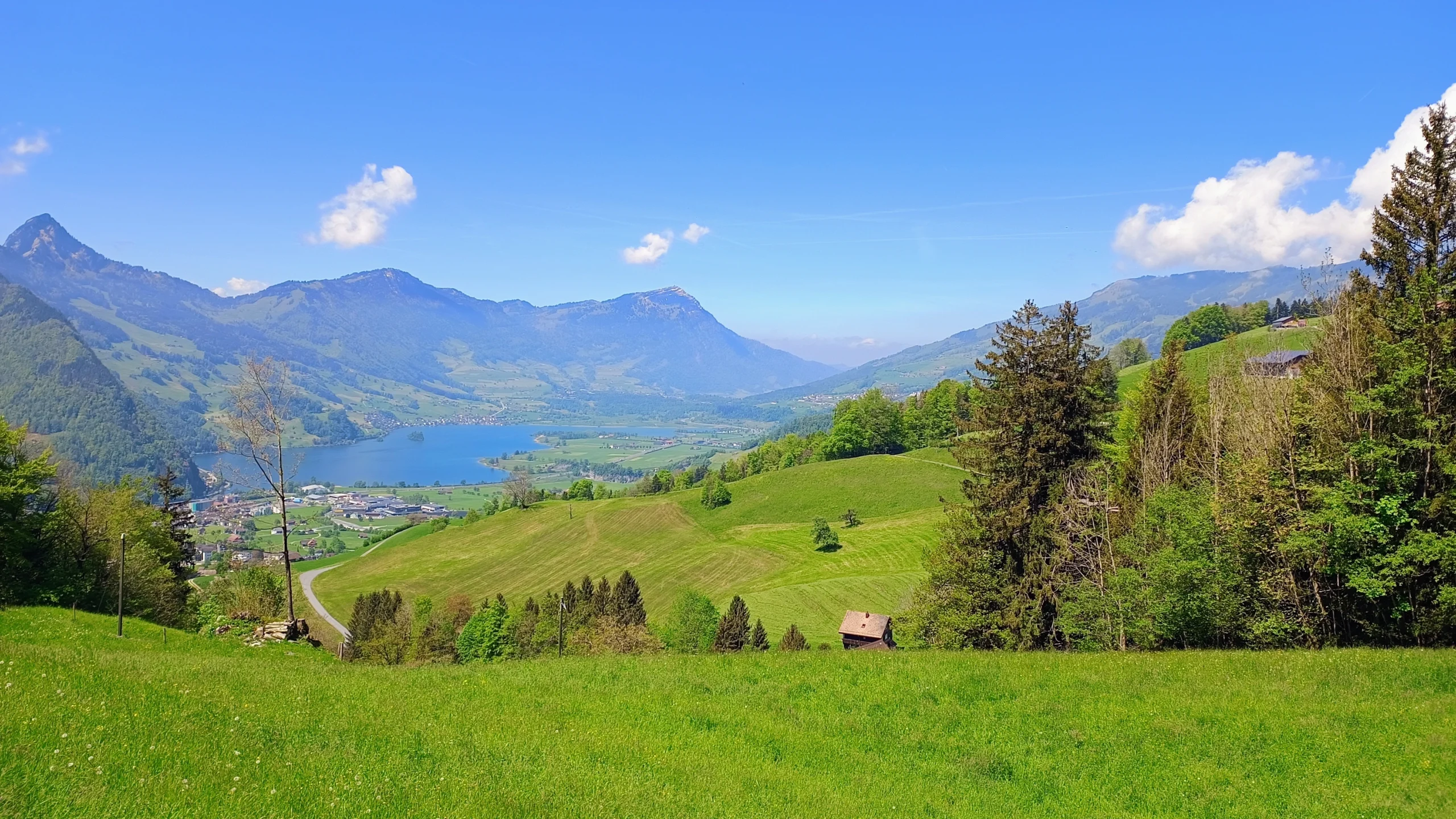Wiese mit See und Bergen im Hintergrund