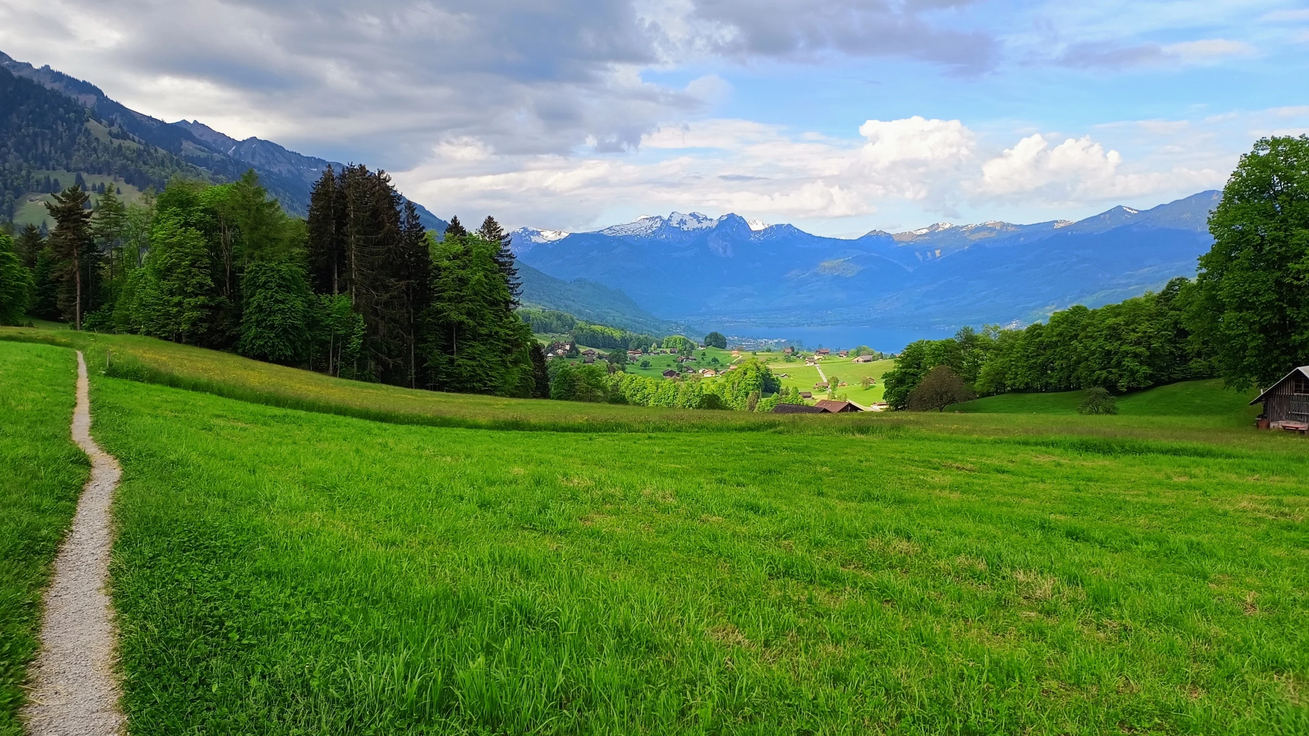 Weg durch eine Wiese
